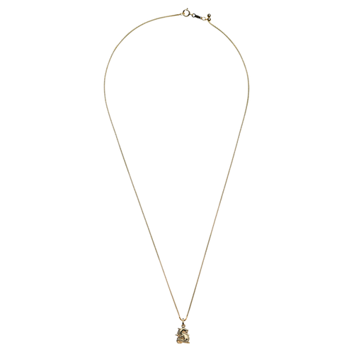 Year of the Dragon Necklace