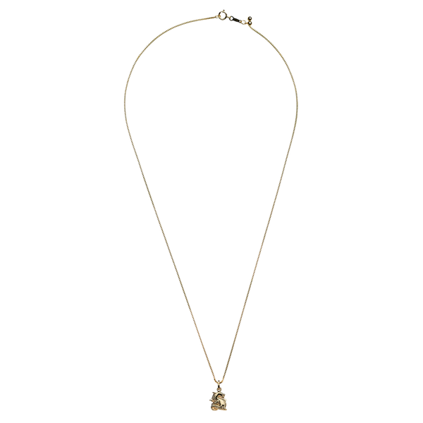 Year of the Dragon Necklace