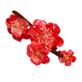 Plum Blossom Claw Clip