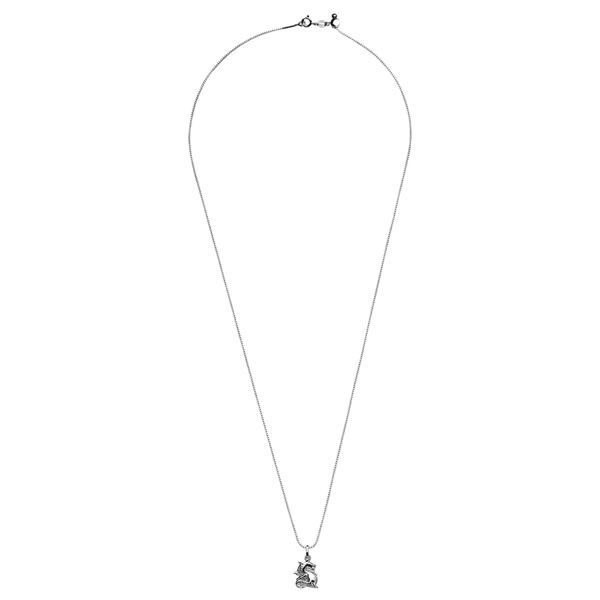 Year of the Dragon Necklace