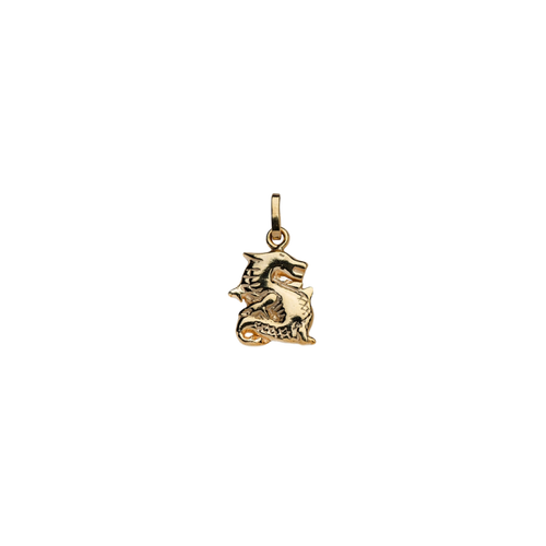 Year of the Dragon Necklace