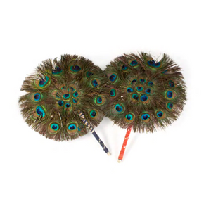 Interesting Objects Postcard